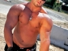 gay-muscle-sex-1191126