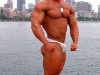 gay-muscle-sex-118113