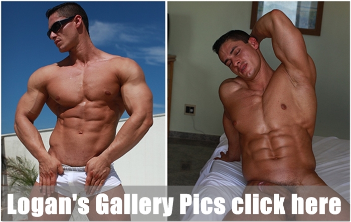 Logan's Gallery Pics click here