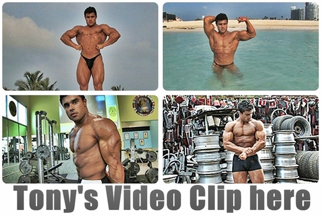 Tony's Video Clip click here