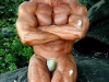 muscle_1111