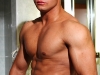 gay-muscle-sex315116