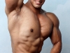 gay-muscle-sex3151125