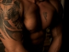 gay-muscle-sex3151174